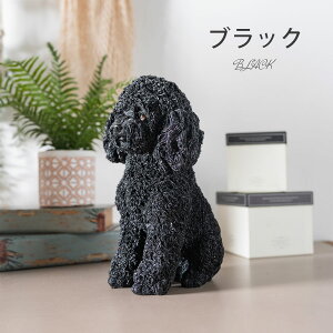  u 킢 JCC  20cm gCv[h I[ig CeA G IuWF i  |Cg  Aj} 邢  F A gCv[ ڂ