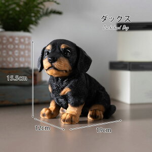  u 킢 JCC  ViEU[ r[O _bNX ` I[ig CeA G IuWF i  |Cg  Aj} 邢 A ڂ 