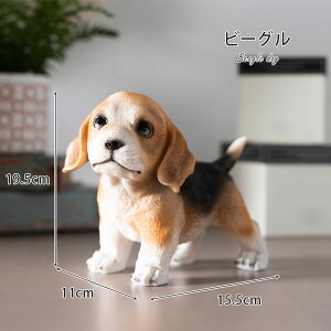  u 킢 JCC  ViEU[ r[O _bNX ` I[ig CeA G IuWF i  |Cg  Aj} 邢 A ڂ 