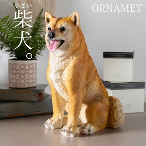 u I[ig Č  Aj}   IuWF 킢 Aj}u CeAG ΂ VoCk    rO CeA v[g Mtg 