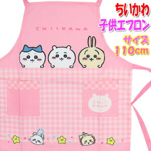 q Gv  (sN110cm) ̎q }WbNe[v