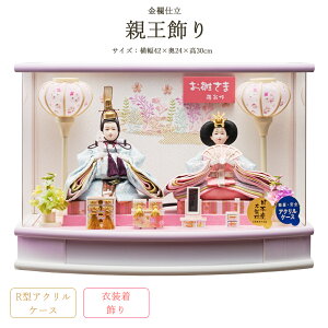 ���l�` �R���p�N�g �~�j �P�[�X���� ���Ƃ� ���e������ ���E�d�� R�^ ���{�J�V �A�N�����P�[�X �h�J�o�b�N ������� 2025 253-225 h5-5