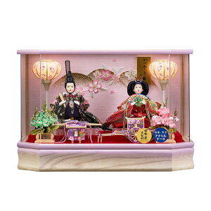 l` P[X RpNg Iׂ P[X ЂȐl` P[X  ~j AN v戵 ЂȐl` j e 2l Ed Oܐe IS[t  