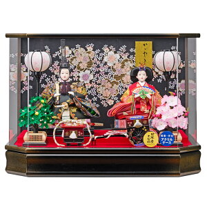 l` P[X RpNg  ЂȐl` P[X l AN P[X ߋ 䟭 v戵@l` P[X ЂȐl` RpNg  l ʔ O e 233-2