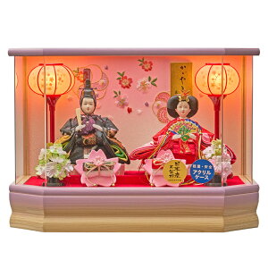 l` P[X Iׂ RpNg ЂȐl` P[X  l v戵 l` P[X ЂȐl`  l ʔT e   ɏhJd e 243-260 AN