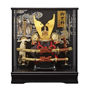 ܌l`  RpNg  KXP[X kabuto-49 165-712 5l` IS[t