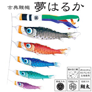 こいのぼり コンパクトの人気商品 通販 価格比較 価格 Com
