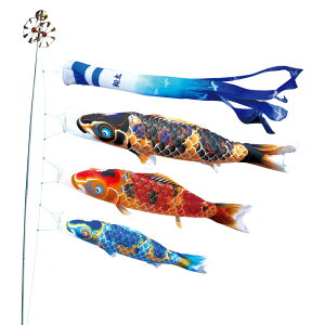 ̂ڂ  p 3m6_Zbg  ̂ڂ |[ʔ îڂ