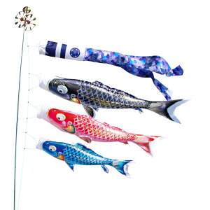 ̂ڂ  p 5m6_Zbg  ̂ڂ |[ʔ îڂ 