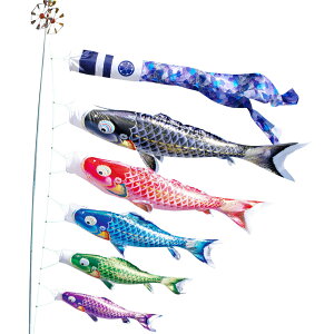 ̂ڂ  p 4m8_Zbg  ̂ڂ |[ʔ îڂ 