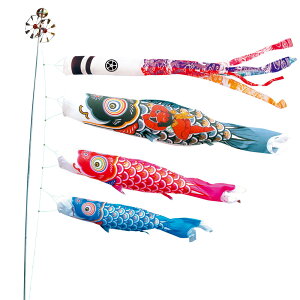 ̂ڂ  p 10m6_Zbg ї ̂ڂ |[ʔ îڂ