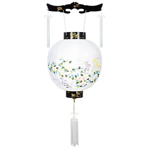 ~ RpNg 傤  ~ n _ GG vX`bN LED dr ~j 킢 8001-11-101ac 2025