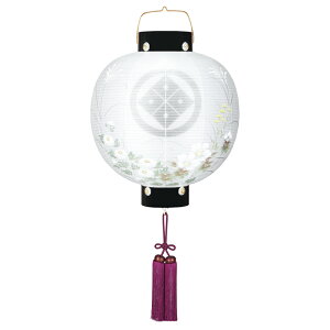 ~ RpNg 傤  ~ Ɩ  یdG 13 dR[h 8324-13-070l 2025