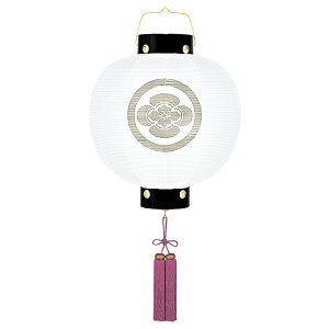 ~ RpNg 傤  ~ n _ Ɩ 񓔊یn OΑ܌ dCR[h ~j 킢 2025