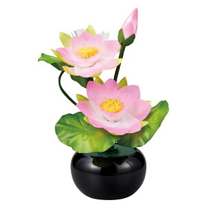 ~ ~   _ ~j 傤 Oh~iX STD ~jnX 3 7FLED dCR[h n 2024