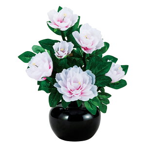 ~ ~   _ ~j 傤 Oh~iX STD Z {^ 7FLED dCR[h n 2024