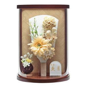 Hq v ~` ی^ j  Hq ܂ݍ׍H IW RpNg P[X AN ~` 7   a2kyu25-96460-1 2025