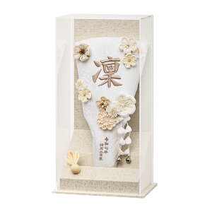 Hq RpNg  ܂ݍ׍H ~j 킢  }V 7 (28cm) ₩ O P[X ؐ ̎q ߋ j ^ Y _  oYj Mtg 