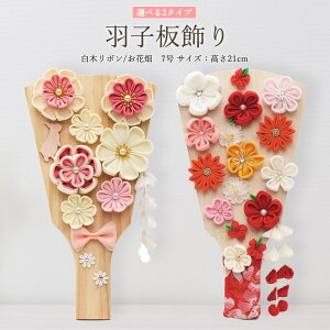 Hq RpNg  ܂ݍ׍H ~j 킢  }V 7 (21cm) ؃{ Ԕ ؐ ̎q ߋ j ^ { Y _  TCY oYj Mt