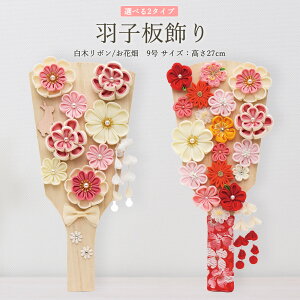 Hq RpNg  ܂ݍ׍H ~j 킢  }V 9 (27cm) ؃{ Ԕ ؐ ̎q ߋ j ^ { Y _  TCY oYj Mt