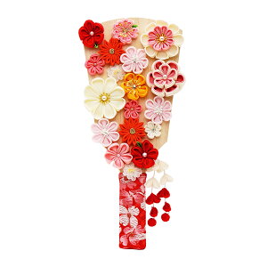 Hq RpNg  ܂ݍ׍H ~j 킢  }V 9 (27cm) ؃{ Ԕ ؐ ̎q ߋ j ^ { Y _  TCY oYj Mt