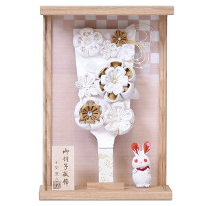 Hq Ǌ| RpNg  ܂ݍ׍H ~j 킢 7 (27cm) AN  Iׂ sN  ݐF ׂ }V P[X  ؐ ̎q ߋ j 