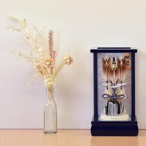 j| v RpNg ~j TCY    u[ j̎q RpNg j  6  P[X P[X _ ~j  2024