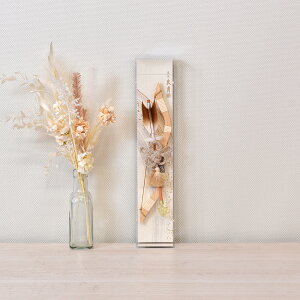 j| Ǌ| v RpNg Iׂ z ~j TCY   j j̎q ׂ v j| Ǌ| 12 G j z  RpNg lC _ ~j 