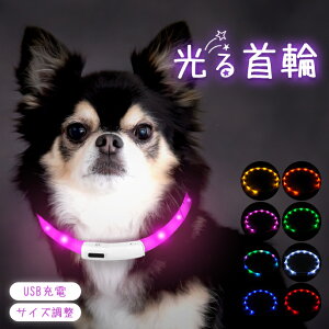 \生活防水/高輝度/サイズ調整可/ ペット 光る 首輪 LED ライト 充電 式 小型 犬 レインボー 単品 2個セット 迷子 安全 事故防止 軽い 点灯 点滅 小型犬 中型犬 大型犬 ペット用品 USB 散歩 夜