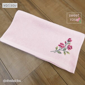 ai [ ^I XC[g[Y sN  ̊fUC tFCX^I ^I  KN@[Y o@_˃JtFJ[egC}bgai