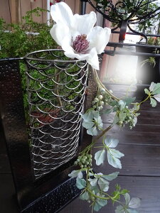 ̂Ԃ@NX}X̂ԁ@֐ɒuĂfGłBwt[ACA@x[Xx