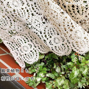 ai [@x[W ƕʂ ډBo Rbg [XJtFJ[e 120x45cm V[g Vr[ l AWA p  GKg i` _ VRf 