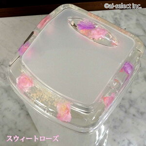 New ai _Xg{bNX   ڗ g ݔ eʖ5L [ XCO yŊJ Œ͂قƂǌ܂ 33.5cm o KN [Y JX~ G 