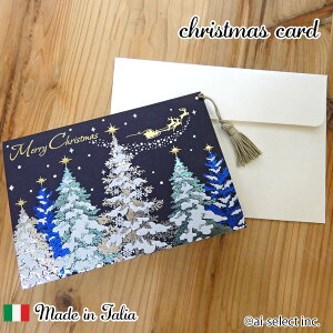 lCɕt11ח\@C^A NX}XJ[h ^bZt   f lCr[ A G{X  H p[ ` c[ T^ giJC 