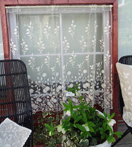 JtFJ[e120x90cm [@RbghJ@_炩D`[ [cls]O m@ȁ@hJ AC{[ k@ԁ@p@@@Y i`@Y@R@C