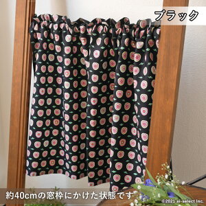 ai JtFJ[e@Xւő@Cy |bvȃo@75×50cm V[g k  Jt  t[ ԕ [Y zCg ubN q J[e t@