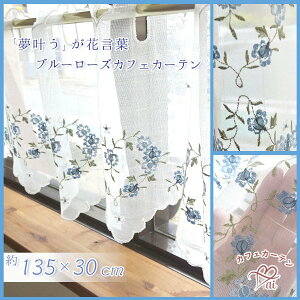 yԌt@Bu[[YwJtFJ[exyc30cmzx[V[g ̃ItzCg̐nɔFu[[Y̎hJ@ZȂDu[