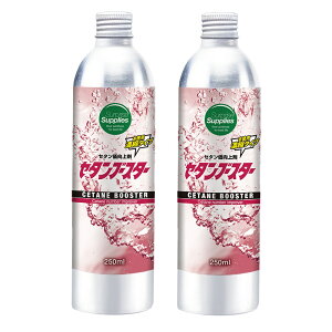 Z^u[X^[ 500ml(250mlx2) Z^܁EfB[[RY