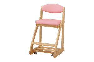 y󒍐Yzl{H| DSC-2800 ؐ`FAyXΉiz