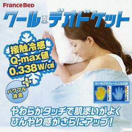 フランスベッドクールデオドケット(シングルサイズ)