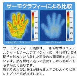 フランスベッドクールデオドケット(シングルサイズ)