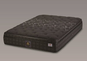 Sealy(V[[xbh) }bgX `^RNV GoX3yV[[xbhK戵XzyRCPzyszySzyXΉiz