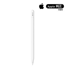 【未開封・メーカー一年間保証】Apple正規品 アップル Apple Pencil USB-C アップル純正 　【送料無料メール便配送】