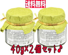 クマちゃんの竹炭『 竹康炭(たけこうたん)』 《40g×2個セット》鉄分45％ 夢大地 食べる炭 竹炭パウダー 女性におすすめ 鉄分 植物性鉄分