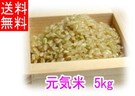 「元気米」玄米　送料無料 令和5年度新米・令和5年度米（ピロール農法で作ったピロール米）