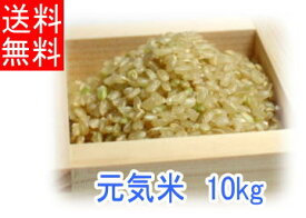 【期間内P5倍】【令和5年度産】「元気米」玄米《10kg》送料無料 （ピロール農法で作ったピロール米）