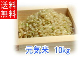 【令和5年度産】「元気米」玄米《10kg》送料無料 （ピロール農法で作ったピロール米）