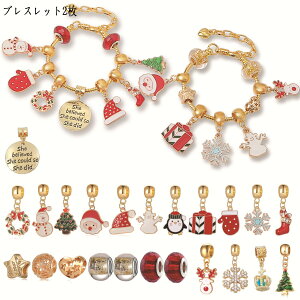 y15%OFFN[|zzIzNX}X uXbg lbNX r[YZbg 23pcs DIY ANZT[Lbg  LL CLOgC ̎q  Rʂ ЂƂ