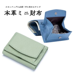 y15%OFFN[|zzIz~jz fB[X ܂z g₷ {bNX^ ܌ O܂z Y KꂪJz XL~Oh~ RpNg 킢