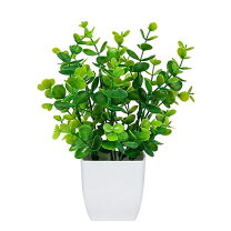 楽天市場】オフィスデスク（観葉植物｜花・観葉植物）：花・ガーデン 